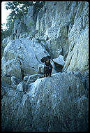 Eduardo at Great Falls, VA